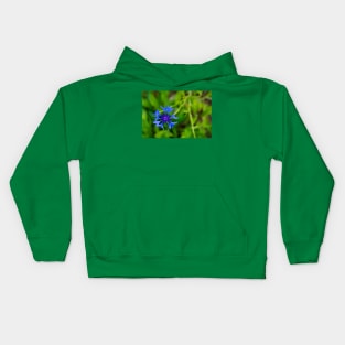 Blue cornflower herb flower head isolated on natural green background Kids Hoodie